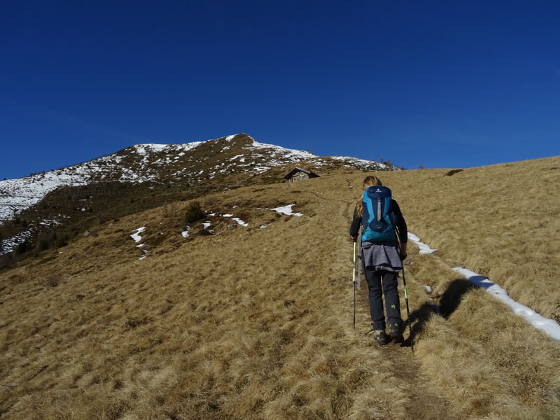 Cimon di Bolentina m. 2287 - Piz di Montes m. 2368